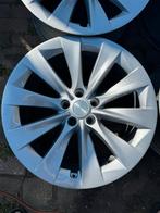 20 inch wielset origineel Tesla Model X Delta, Gebruikt, Velg(en), Ophalen of Verzenden, Personenwagen