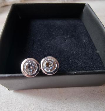 **NIEUW***TI SENTO ZILVEREN OORBELLEN
- 45,- = VASTE PRIJS beschikbaar voor biedingen