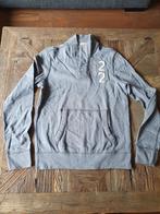 Hollister trui maat M, Maat 48/50 (M), Ophalen of Verzenden, Grijs, Gedragen