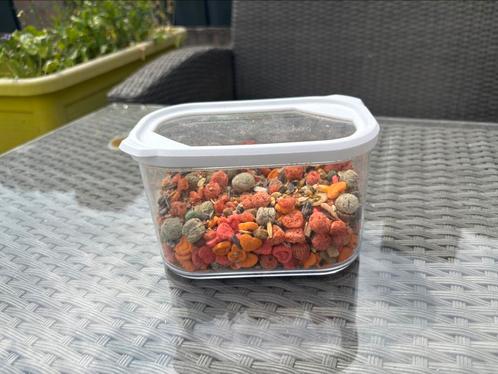 Knaagdier snoepjes in afsluitbaar bakje, Dieren en Toebehoren, Dierenvoeding, Knaagdier of Konijn, Ophalen