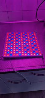 LED Plant Lamp Roleadro Rood Blauw Licht 75 W LED Kweeklamp, Tuin en Terras, Kweekspullen, Ophalen of Verzenden, Gebruikt, Kweeklamp