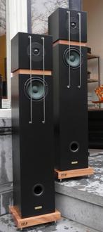 ISSA VLOERSTAANDE LUIDSPEAKER, Audio, Tv en Foto, Luidsprekers, Nieuw, 120 watt of meer, Front, Rear of Stereo speakers, Ophalen