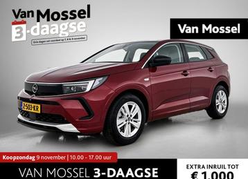 Opel Grandland 1.2 Turbo Hybrid beschikbaar voor biedingen