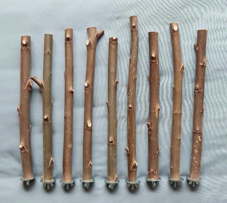 Zitstokjes en plankjes van de knotwilg uit de polder., Dieren en Toebehoren, Vogels | Toebehoren, Nieuw, Kooi-accessoires, Ophalen