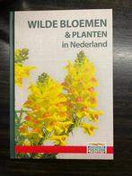 Wilde bloemen &amp; planten in nederland nieuw, Ophalen of Verzenden, Nieuw, Bloemen, Planten en Bomen