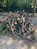 Gratis haardhout, Minder dan 3 m³, Ophalen, Overige houtsoorten, Blokken