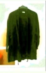 Zwart dames vest, Ophalen of Verzenden, Zo goed als nieuw, Maat 42/44 (L), Zwart