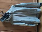 Nike Air Jordan Hoodie, Kleding | Heren, Truien en Vesten, Ophalen of Verzenden, Zo goed als nieuw, Grijs, Nike Air Jordan