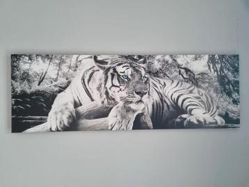 Schilderij Witte Tijger beschikbaar voor biedingen