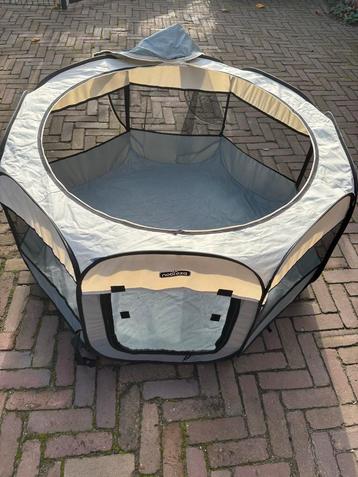 Honden /konijnen/ katten ren of bench beschikbaar voor biedingen