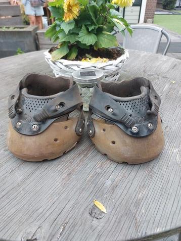 Paarde schoenen XL beschikbaar voor biedingen