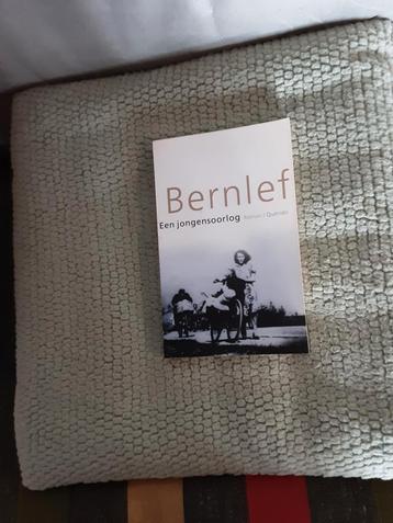 Bernlef----Een jongensoorlog beschikbaar voor biedingen