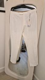 Nieuwe heren pantalon - Suitsupply, Kleding | Heren, Ophalen of Verzenden, Nieuw, Overige kleuren, Suitsupply
