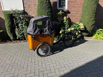 Qivelo Cargo V 2.0 Driewiel Bakfiets, Middenmotor,! beschikbaar voor biedingen