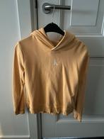 2 Calvin Klein hoodies maat 152, Ophalen of Verzenden, Zo goed als nieuw, Jongen, Trui of Vest