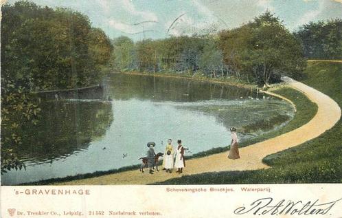 (381-089-001) Den Haag Scheveningsche Boschjes, Verzamelen, Ansichtkaarten | Nederland, Zuid-Holland, Verzenden