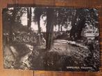 Fotokaart Simpelveld - Kloostertuin, Verzamelen, Ophalen of Verzenden, 1940 tot 1960, Gelopen, Limburg