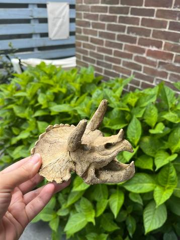 Aquarium ornament beschikbaar voor biedingen