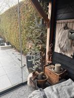 Larix boom met lampjes - groen/grijs, Huis en Inrichting, Ophalen, Gebruikt