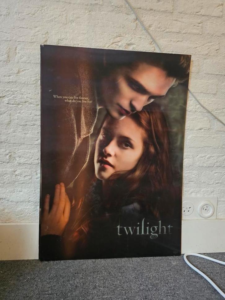 2 mooie Twilight Posters met 3D effect, Verzamelen, Posters, Zo goed als nieuw, Film en Tv, Rechthoekig Staand, 3D, Ophalen of Verzenden