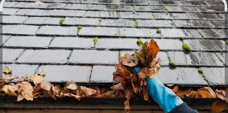“Bladvrije goten, sterke daken: reinigen, repareren & schild, Diensten en Vakmensen, Klussers en Klusbedrijven