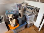 Heel veel playmobil, Ophalen of Verzenden, Gebruikt
