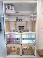 Knaagdier verblijf / kast, Dieren en Toebehoren, Ophalen, Overige typen, Hamster, 90 cm of meer