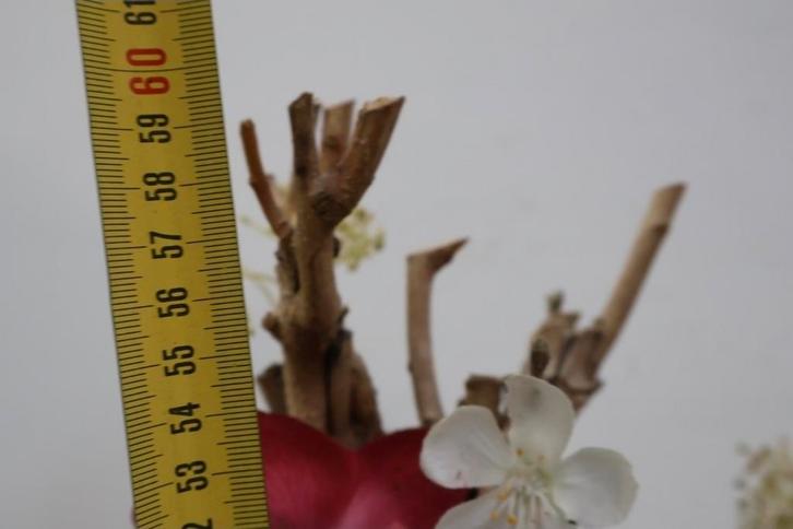 Aardewerk Bloempot met Vogels - Vintage Stijl, Tuin en Terras, Bloempotten, Gebruikt, Aardewerk, Binnen, Balkon, Tuin, 40 tot 70 cm