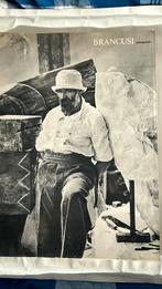 Brancusi photographe, Ophalen