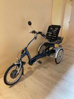 Te Koop: Van Raam Easy Rider 2 Elektrische Driewieler (2019), Fietsen en Brommers, Fietsen | Driewielfietsen, Ophalen of Verzenden