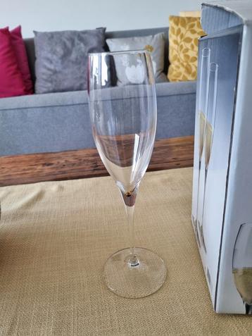 6 hoge champagne flutes in doos.