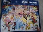 disney puzzel schaatsfeestje 1000 stukjes, Hobby en Vrije tijd, Denksport en Puzzels, Ophalen of Verzenden, 500 t/m 1500 stukjes