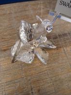 Swarovski crystal verzamelaar, Ophalen of Verzenden, Zo goed als nieuw, Figuurtje