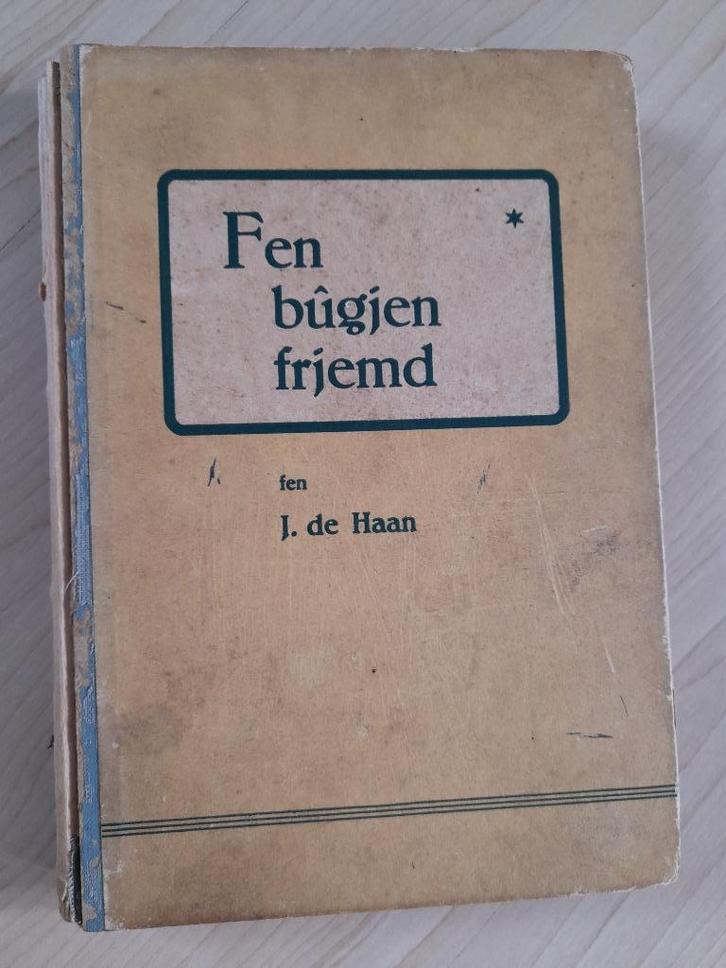 FEN BUGJEN FRJEMD door J de Haan friestalig, Boeken, Romans, Gelezen, Ophalen of Verzenden