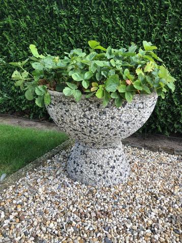 BETONNEN PLANTENBAK / POT beschikbaar voor biedingen