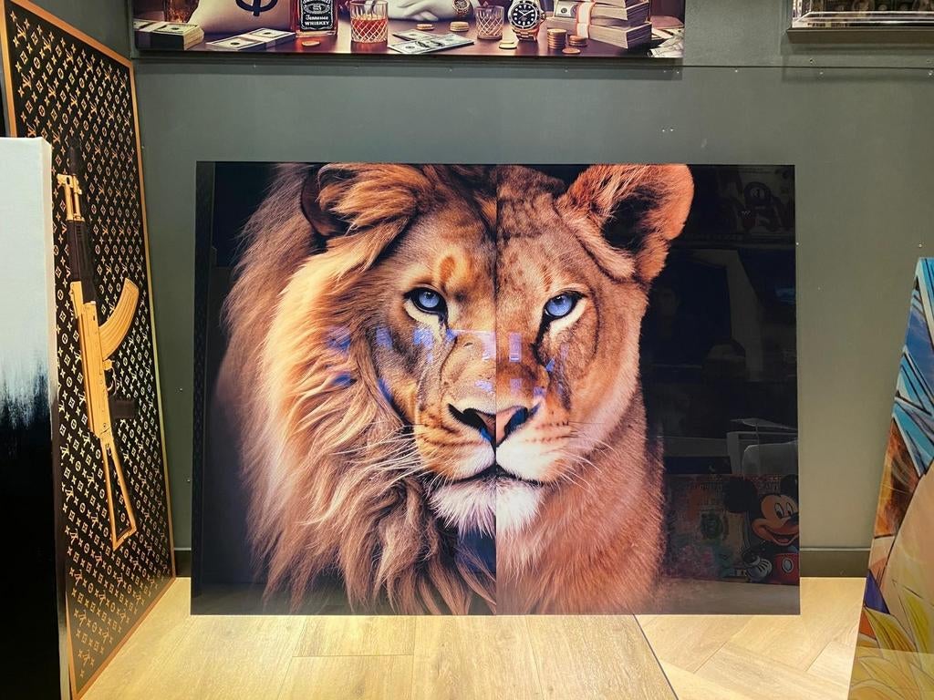 Prachtige Leeuw-Leeuwin Plexiglas Schilderijen - Set van 2, Nieuw, Ophalen of Verzenden, Schilderij, Oorspronkelijke maker