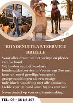 Hondenuitlaatservice Brielle, Uitlaatservice