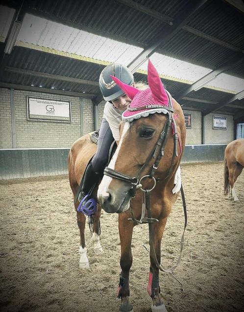 Bijrijd paard gezocht bijrijder aangeboden, Dieren en Toebehoren, Paarden en Pony's | Verzorgingsproducten, Zo goed als nieuw