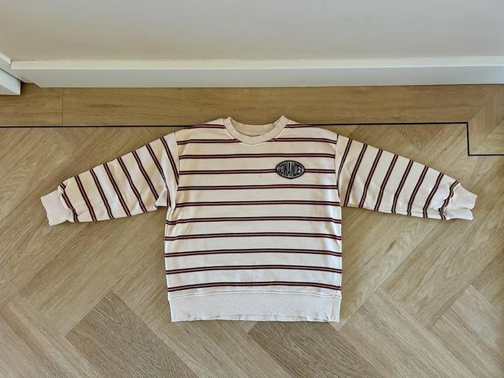 Z.g.a.n. Gestreepte trui van Zara, sweater, maat 122, Kinderen en Baby's, Kinderkleding | Maat 122, Zo goed als nieuw, Jongen