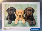 Honden Puzzel - 1000 Stukjes, Ophalen, 500 t/m 1500 stukjes, Nieuw, Legpuzzel