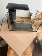 Aquarium, Dieren en Toebehoren, Vissen | Aquaria en Toebehoren, Ophalen of Verzenden, Zo goed als nieuw