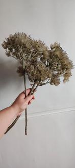 Hele gave kunstplanten, landelijk/ brocante., Ophalen of Verzenden, Zo goed als nieuw