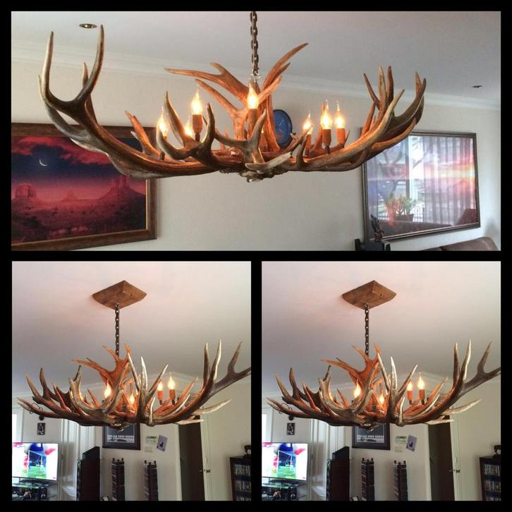 Hanglamp Geweien, Huis en Inrichting, Lampen | Hanglampen, Nieuw, 50 tot 75 cm, Overige materialen, Ophalen of Verzenden