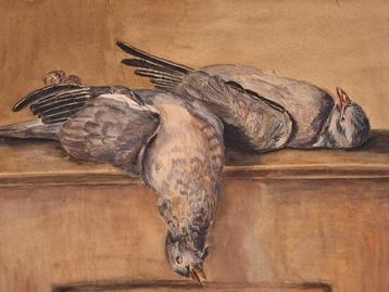 Schilderij: Stilleven met Duiven beschikbaar voor biedingen