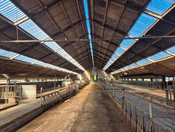 Nette stal/schuur beschikbaar voor biedingen