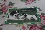 Honden Postkaart - Landseer met twee Pups, Finland, Verzenden, 1980 tot heden, Ongelopen, Hond of Kat