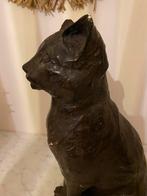 Groot Beeld Poes - Antiek, Ophalen