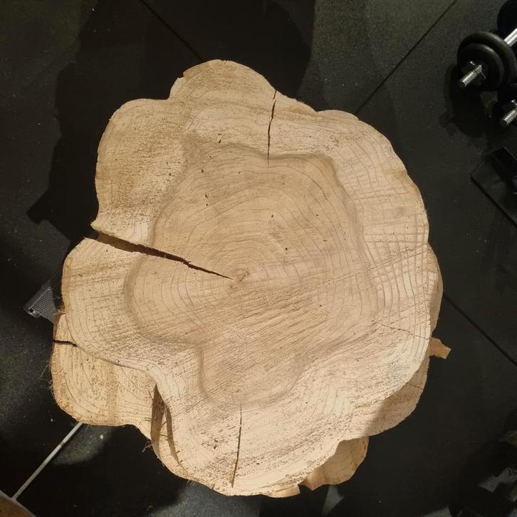Houten Boomstam Schijf - Herfst/Kerst Decoratie, Huis en Inrichting, Tafelonderdelen, Nieuw, Rond, Ophalen of Verzenden