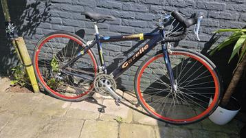 49 inch racefiets van Gazelle  beschikbaar voor biedingen