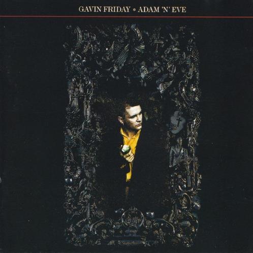Gavin Friday, Cd's en Dvd's, Cd's | Rock, Gebruikt, Poprock, Ophalen of Verzenden